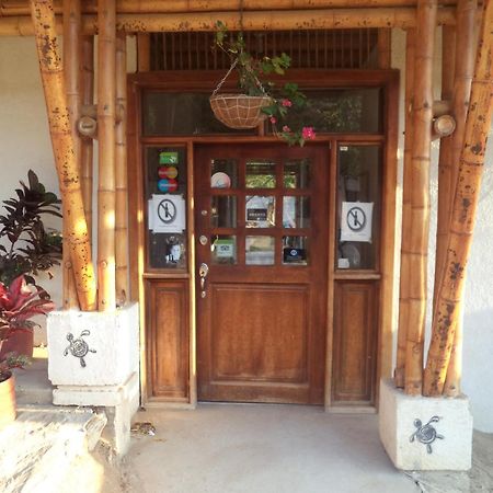La Tortuga Hostel Taganga Bagian luar foto