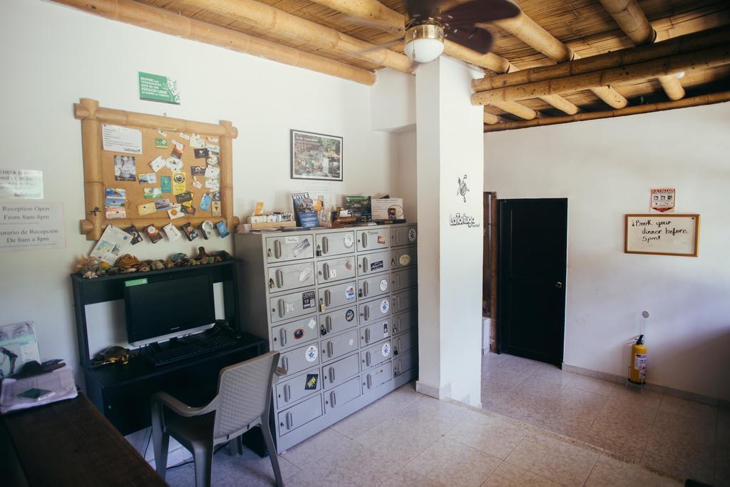 La Tortuga Hostel Taganga Bagian luar foto